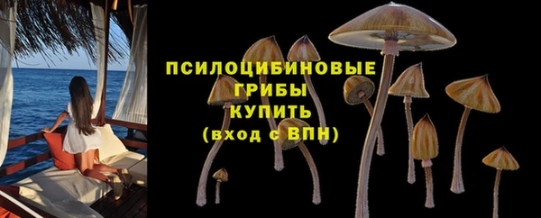соль ск Богородицк
