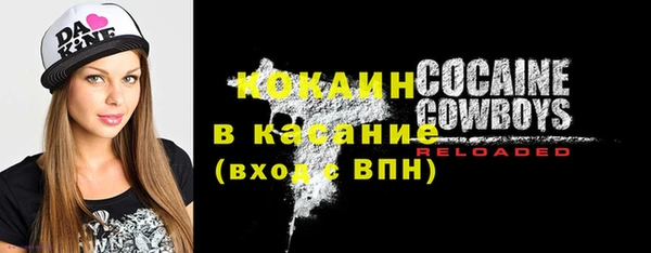 соль ск Богородицк