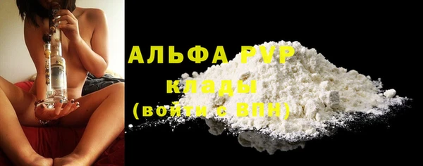PSILOCYBIN Богданович