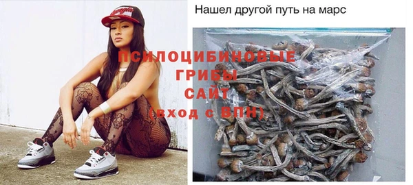 PSILOCYBIN Богданович