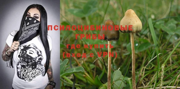 PSILOCYBIN Богданович