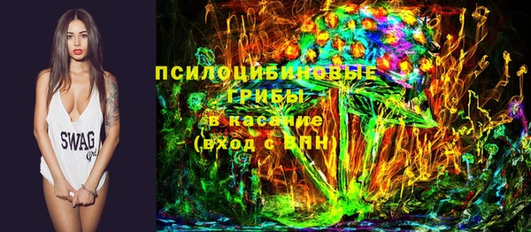 PSILOCYBIN Богданович