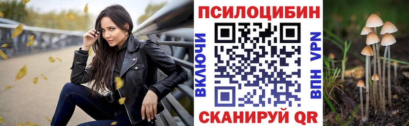 Псилоцибиновые грибы Psilocybine cubensis  гидра ссылка  Бронницы  купить закладку 